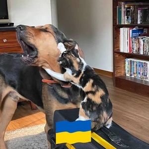 Meet your Posher, Sylvia